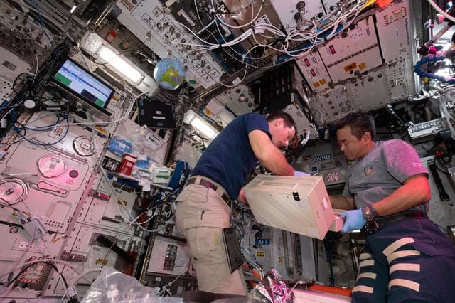 NASA image: iss065e104876