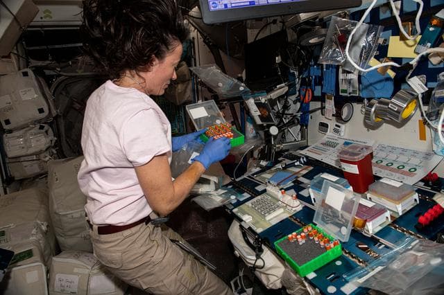 NASA image: iss065e144296