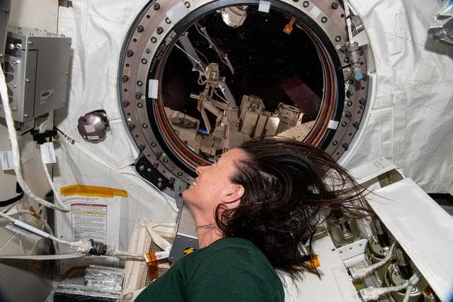 NASA image: iss065e144303