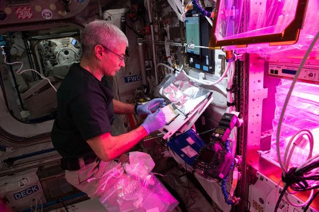 NASA image: iss065e147928