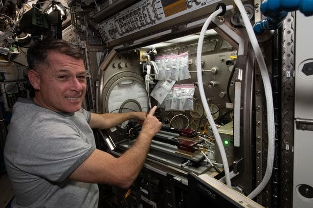 NASA image: iss065e148265