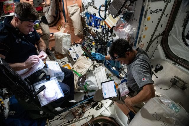 NASA image: iss065e148860