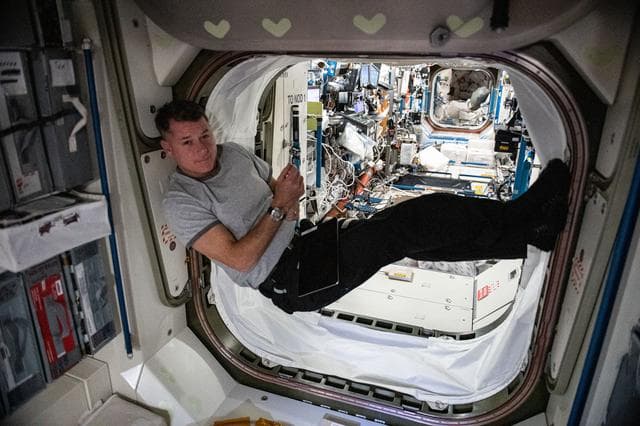NASA image: iss065e148861