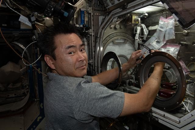 NASA image: iss065e154567