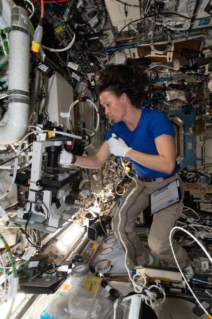 iss065e154962