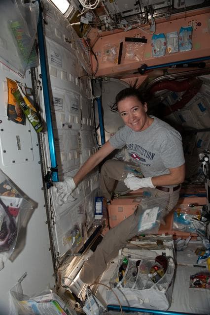 NASA image: iss065e154975