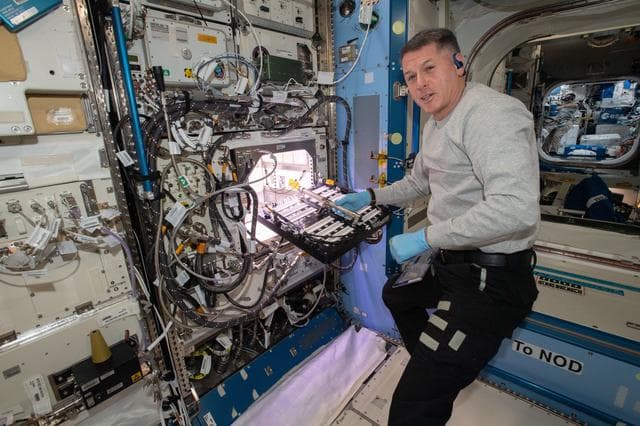 NASA image: Shane Kimbrough kicks off chile pepper experiment on space station