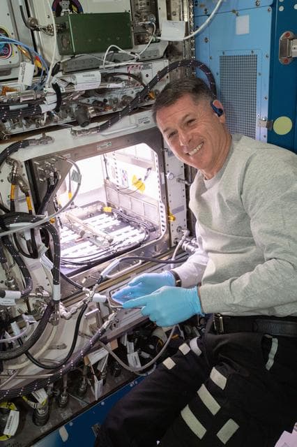 NASA image: Shane Kimbrough kicks off chile pepper experiment on space station