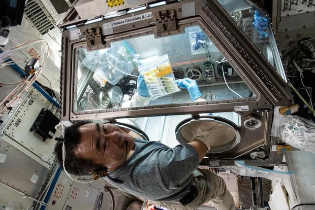 NASA image: iss065e165850