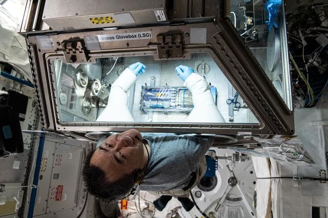 NASA image: Cell Science-04 biology experiment