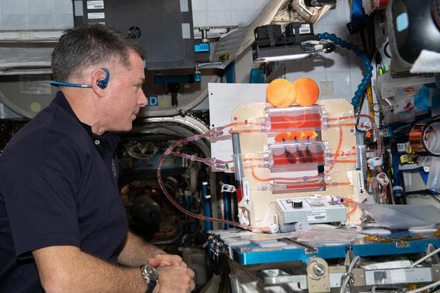 NASA image: iss065e208539