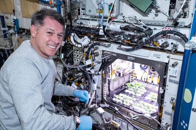 NASA image: iss065e235375
