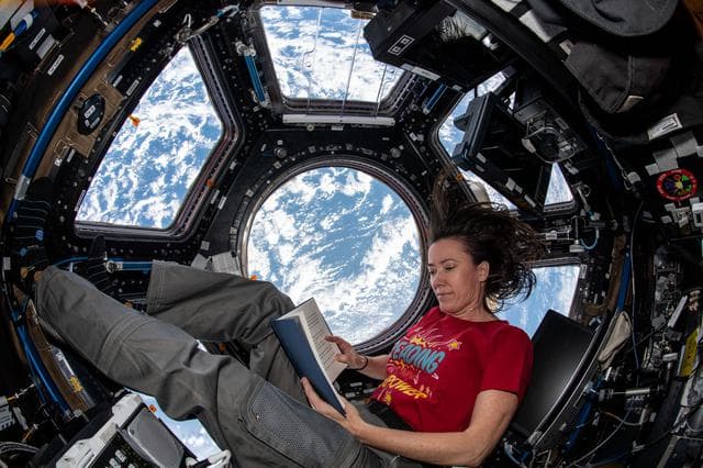 NASA image: iss065e235640