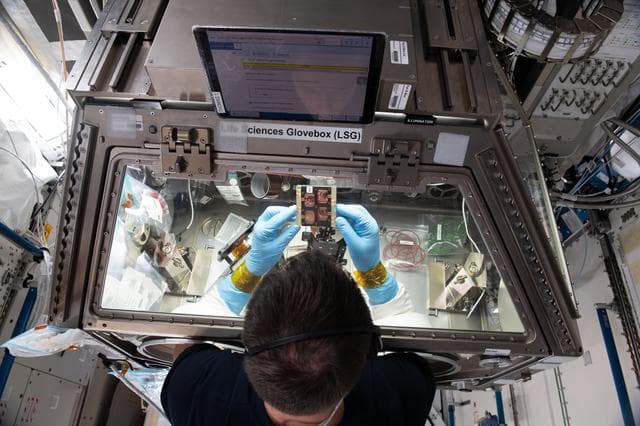 NASA image: iss065e242370