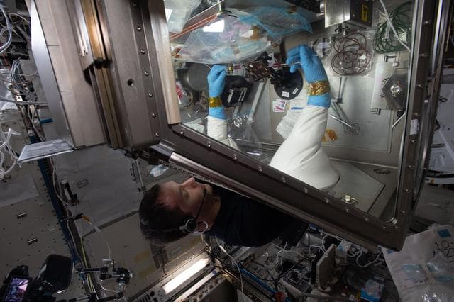 NASA image: iss065e242454