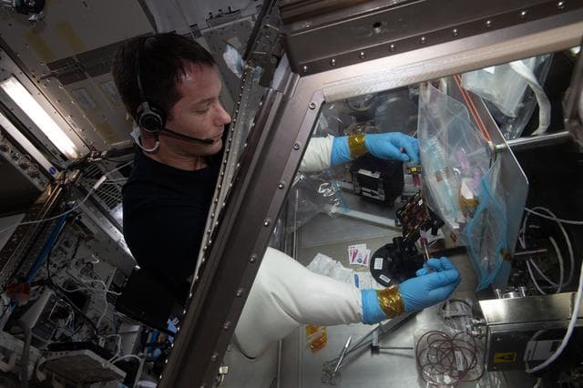 NASA image: iss065e242456