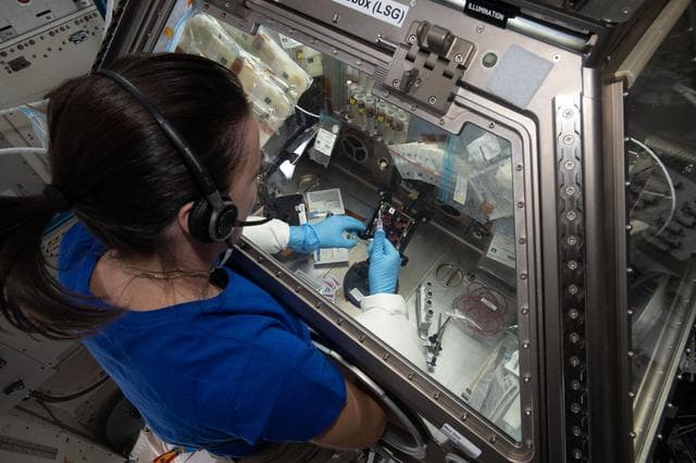 NASA image: iss065e242471