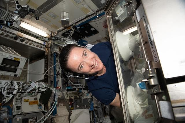 NASA image: iss065e257439