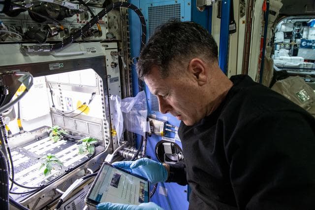 NASA image: iss065e277585