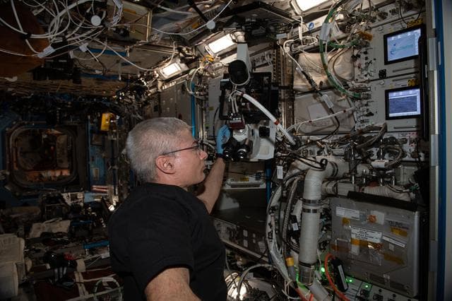 NASA image: Cardinal Muscle Microscopy Ops