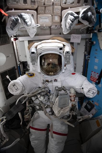 NASA image: EMUs in airlock
