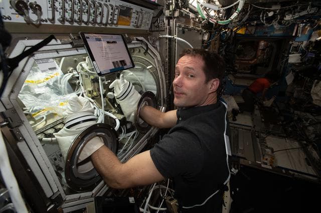 NASA image: iss065e319336
