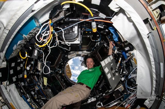 NASA image: iss065e327439