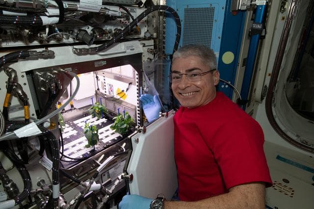 NASA image: iss065e335291