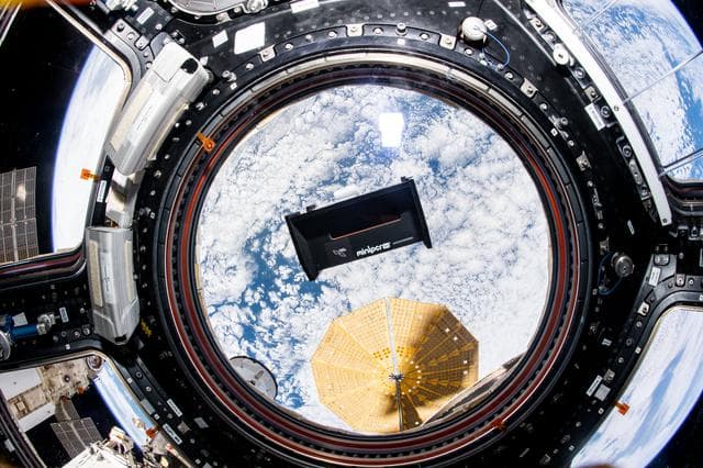 NASA image: Genes in Space 8
