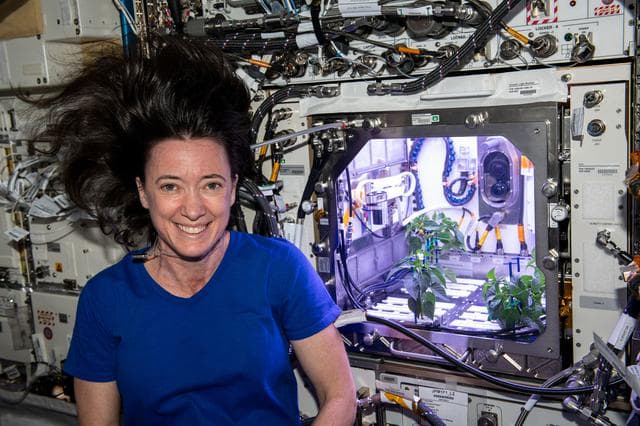 NASA image: Plant Habitat-04 