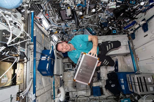 NASA image: iss065e347821