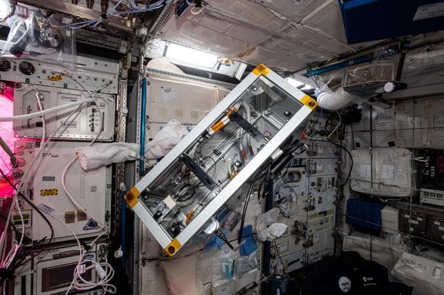 NASA image: iss065e347847
