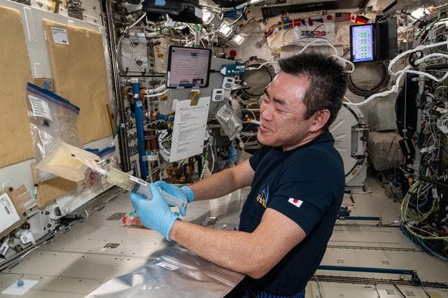 NASA image: iss065e358448