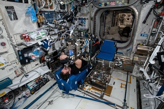 NASA image: iss065e358682