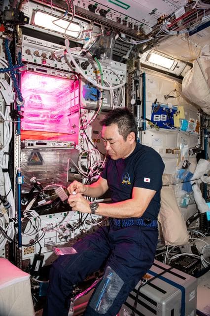 NASA image: iss065e376455