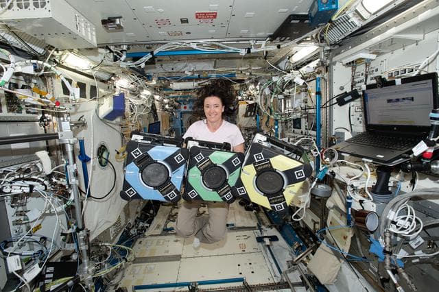 NASA image: iss065e389383