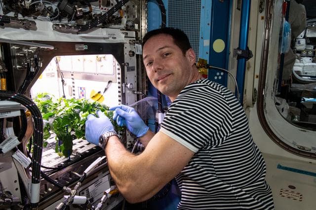 NASA image: iss065e398603