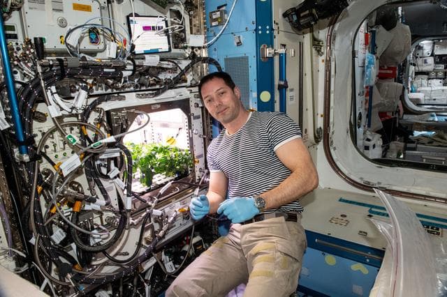 NASA image: Plant Habitat-04 Debris Removal