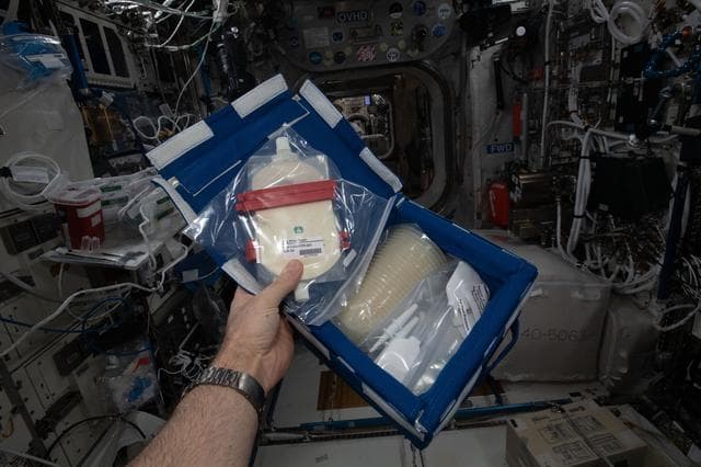 NASA image: iss065e454854