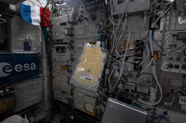 NASA image: iss065e454868