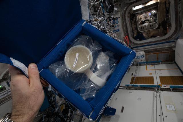 NASA image: iss065e454910