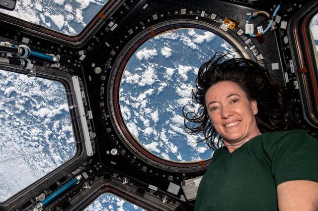 NASA image: iss066e008177