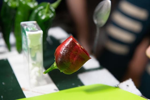 NASA image: Expedition 66 astronauts sample chile peppers grown on the International Space Station