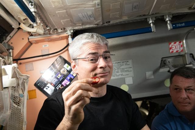 NASA image: Expedition 66 astronauts sample chile peppers grown on the International Space Station