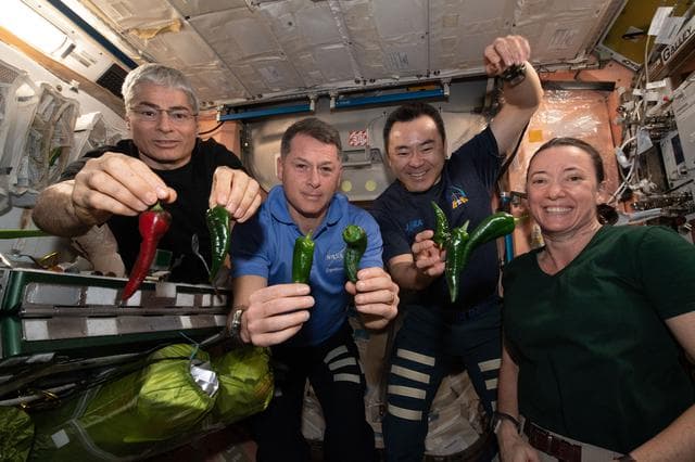 NASA image: iss066e023255