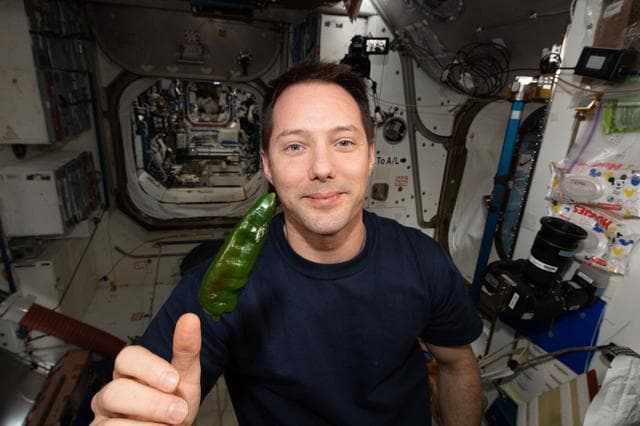 NASA image: Expedition 66 astronauts sample chile peppers grown on the International Space Station