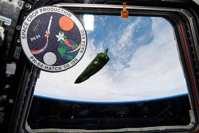 NASA image: iss066e024210