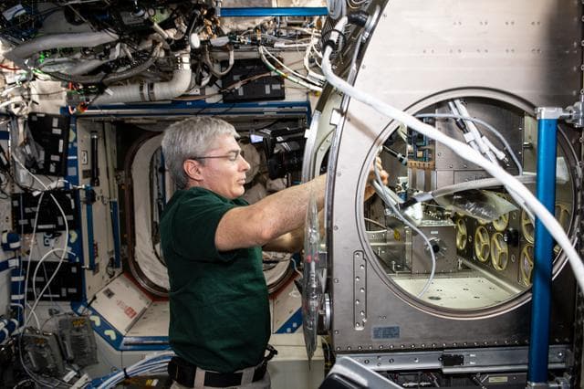 NASA image: iss066e044525