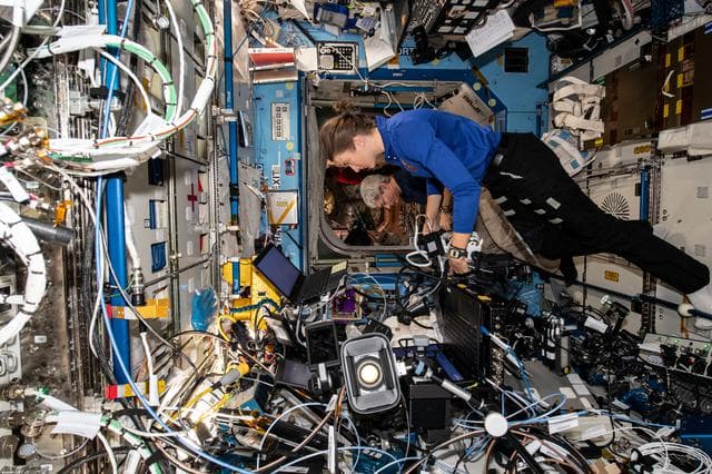 NASA image: iss066e077861