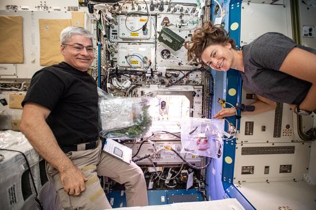 NASA image: iss066e083427